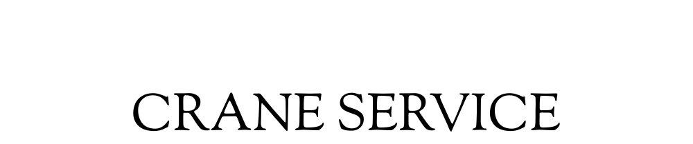 Dj snyder crane logo white