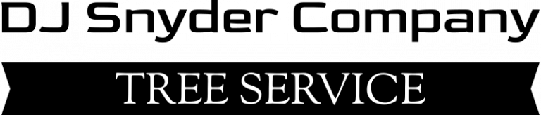 DJ Snyder - Tree Service - Black Logo