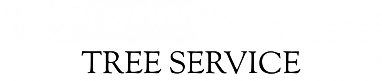 DJ Snyder - Tree Service - White Logo