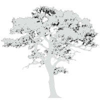 White tree 200px