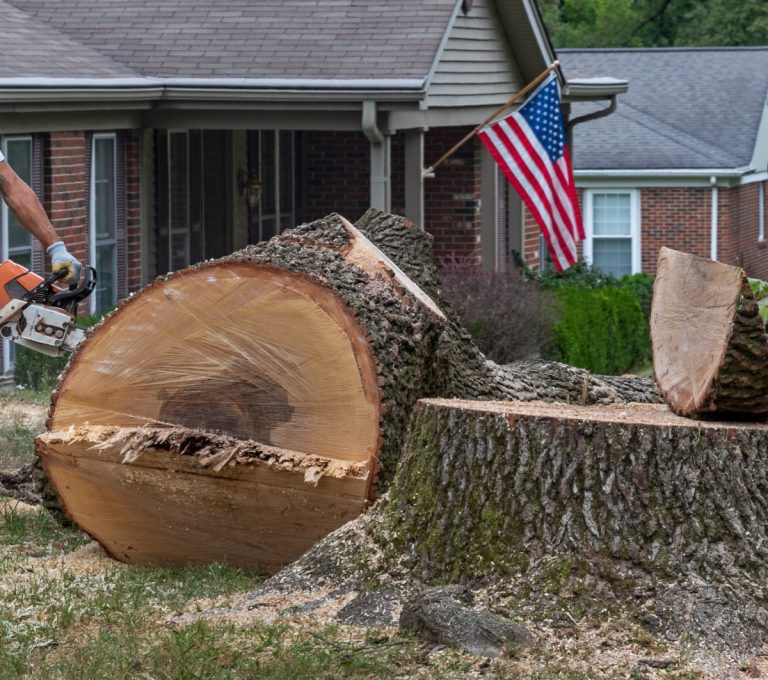 Large tree trunk cut into sections in front of a house with an American flag